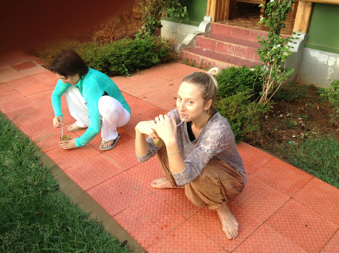 Aarsha Yoga Vidya Peetham - Day Classes景点图片