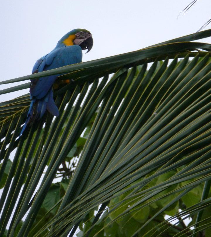 Jardín Botánico del Pacifico-Bahia Solano必去景点