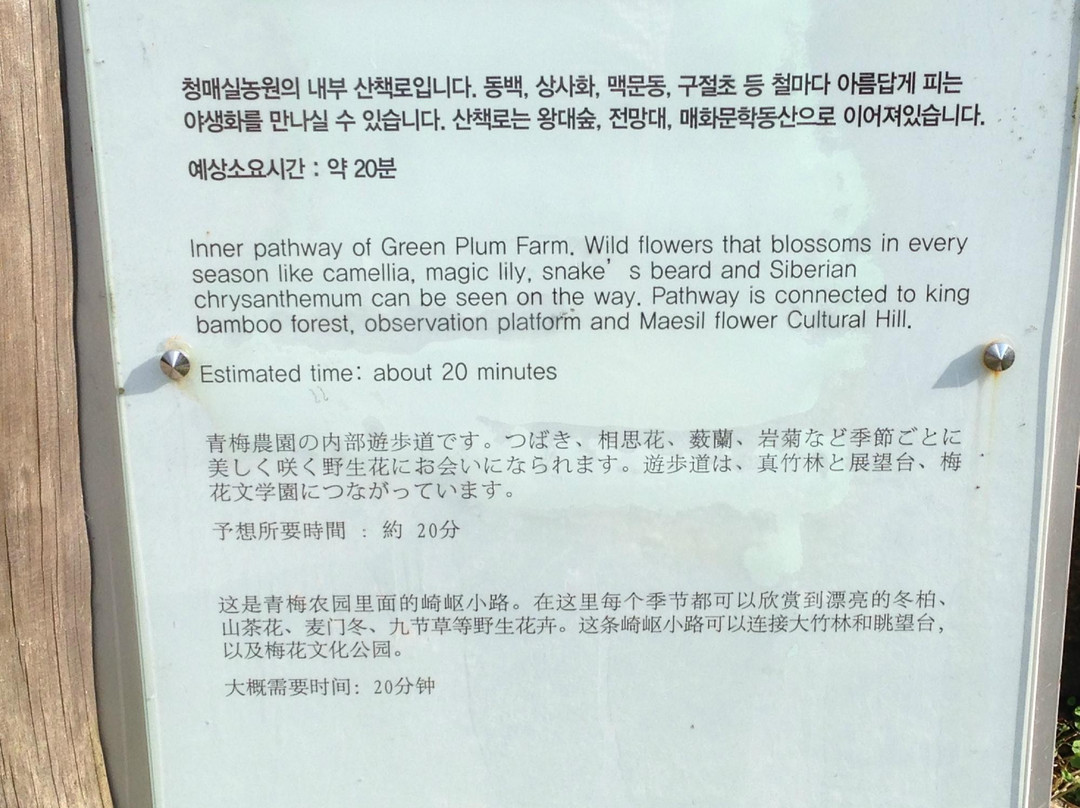 Gwangyang Maehwa Village-光阳市必去景点