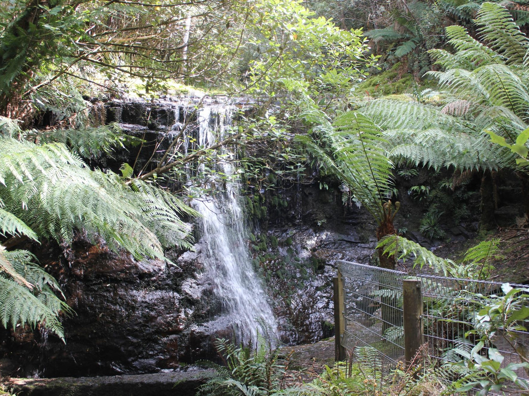 Wellington Park旅游攻略图片