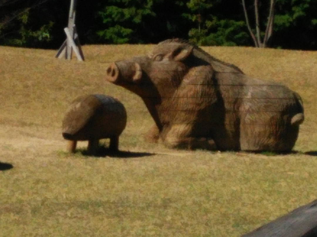 Kunimi no Mori Park-肉粟市必去景点