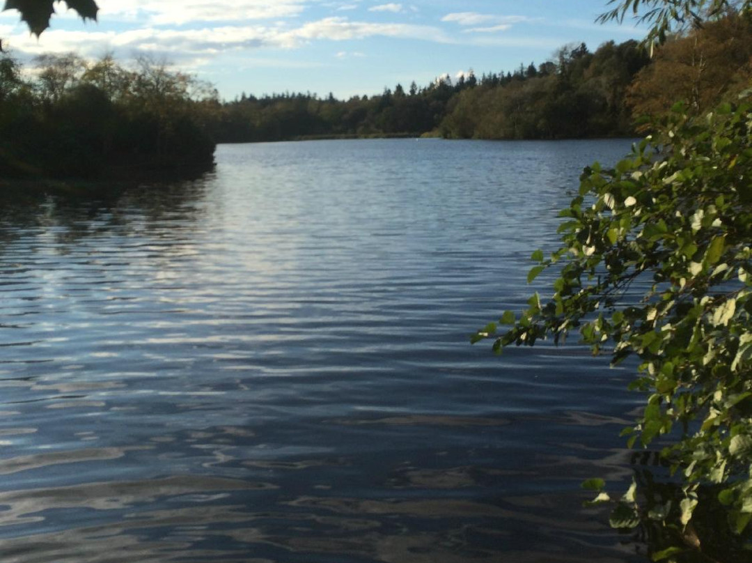 Bolam Lake Country Park-Belsay必去景点