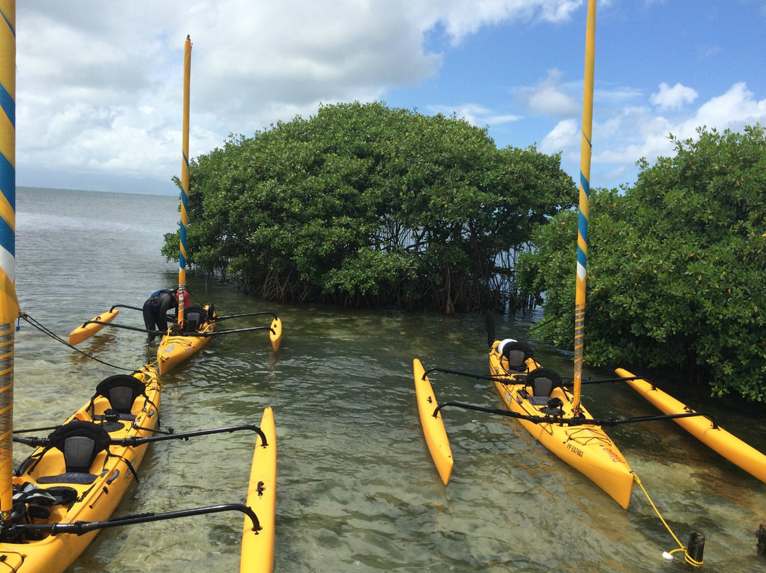 Akwapulsion, Eco Emotions-Petit-Canal必去景点