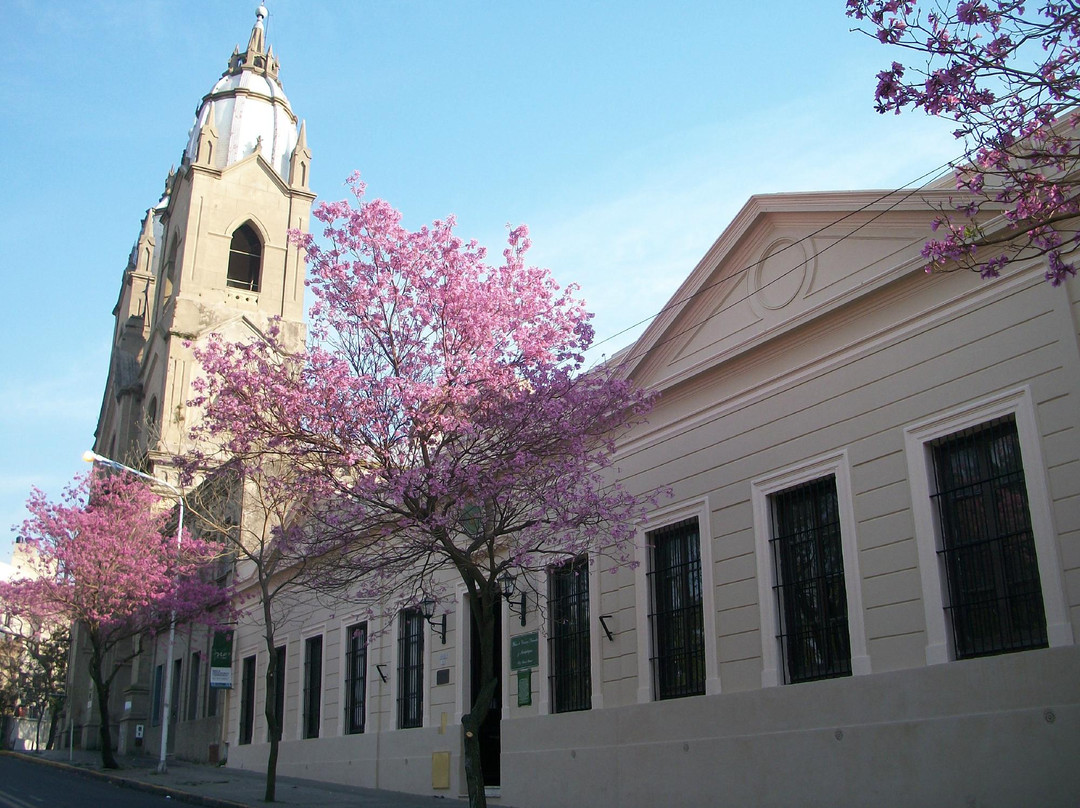 Museo Provincial de Ciencias Naturales y Antropologicas景点图片