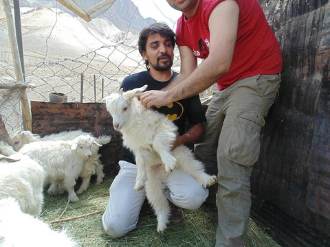 Akee International-Amer必去景点