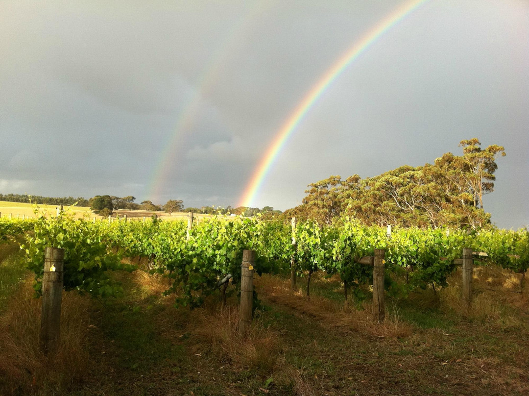 Pierrepoint Wines-Tarrington必去景点