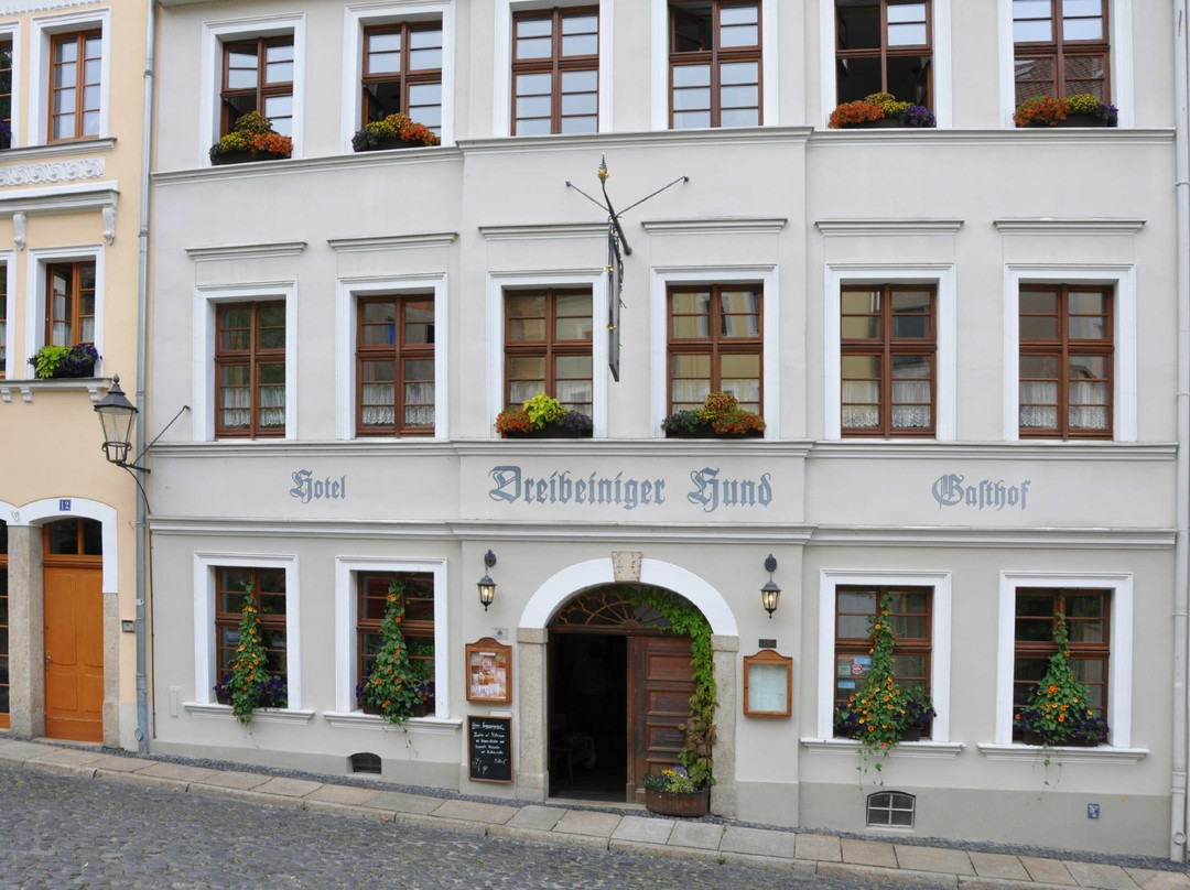 Dreibeiniger Hund主图