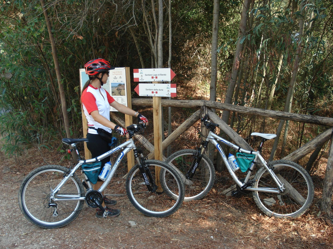 Baratz Rent a Bike-阿尔盖罗必去景点