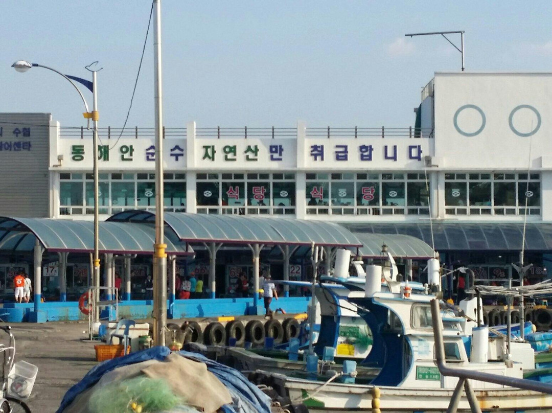 Dongmyeong Port-束草市必去景点