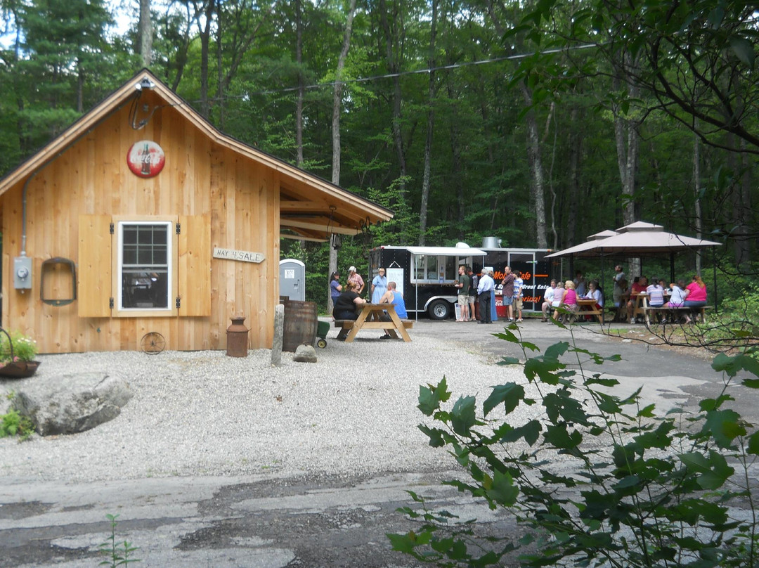 Eastford餐馆和美食-Frog Rock Rest Area