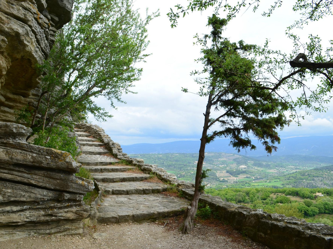 Taxi-Provence Tours-阿维尼翁必去景点