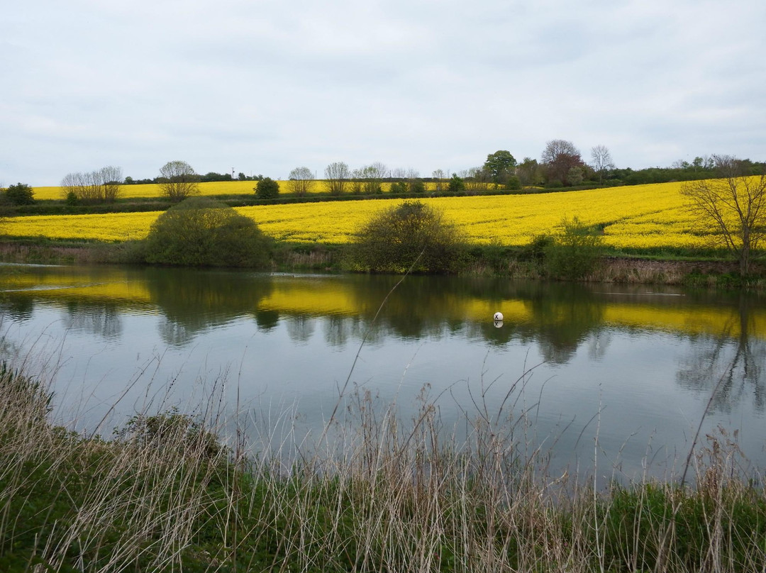 Ulley Reservoir Country Park景点图片