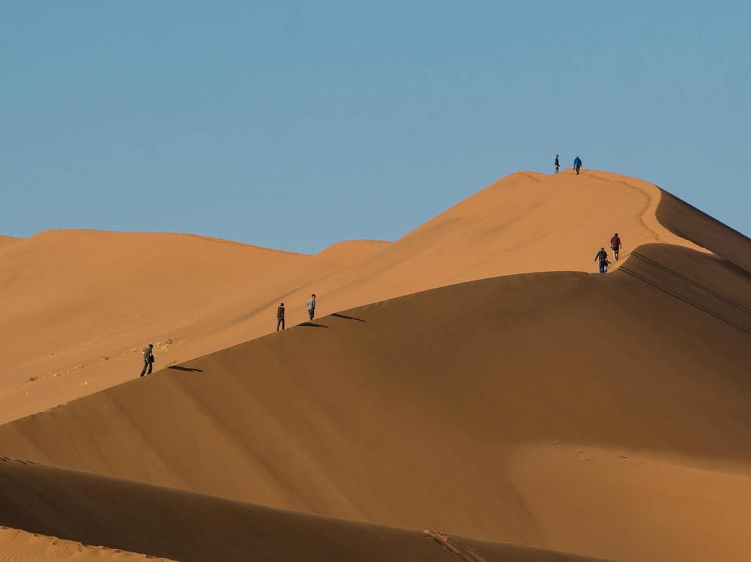 Chameleon Safaris-温德和克必去景点