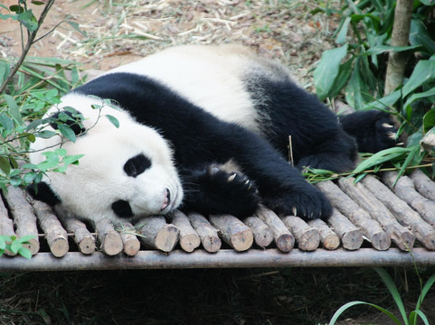 河川生态园-新加坡必去景点