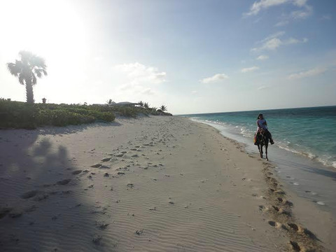 Caicos Coral-普罗维登西亚莱斯必去景点