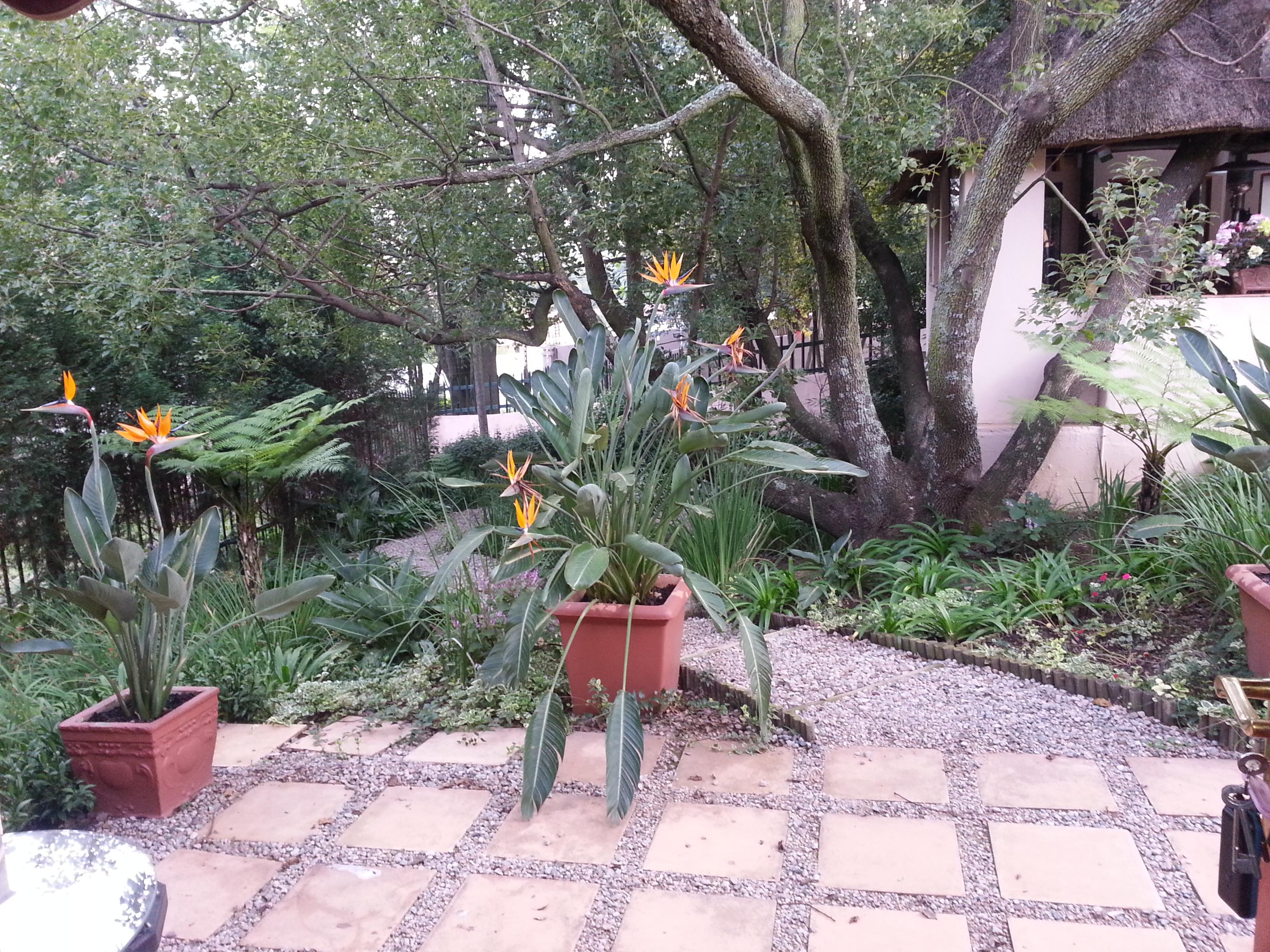 Chislehurst Guest House-酒店景观