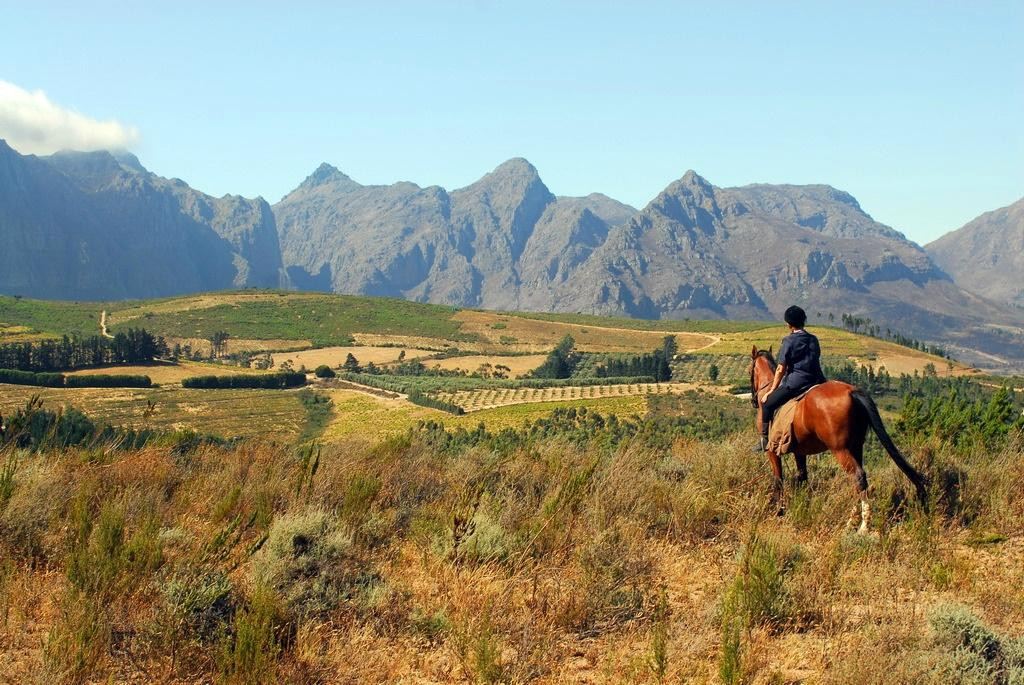 Fynbos Trails景点图片