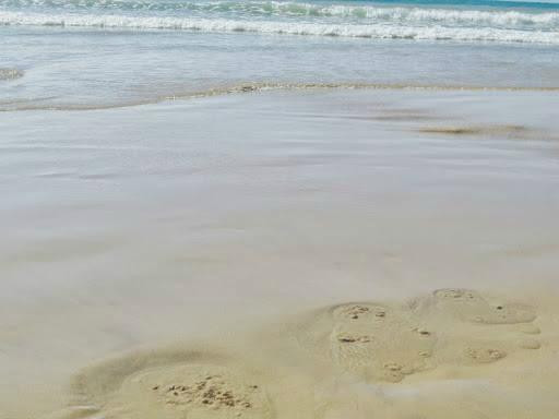 Praia dos Olhos de Água景点图片