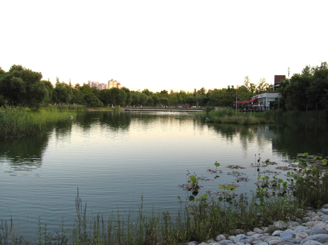 Seoul Forest景点图片