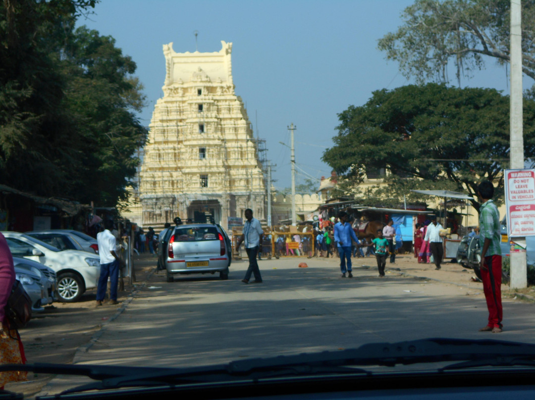 Sri Ranganathaswamy Temple景点图片