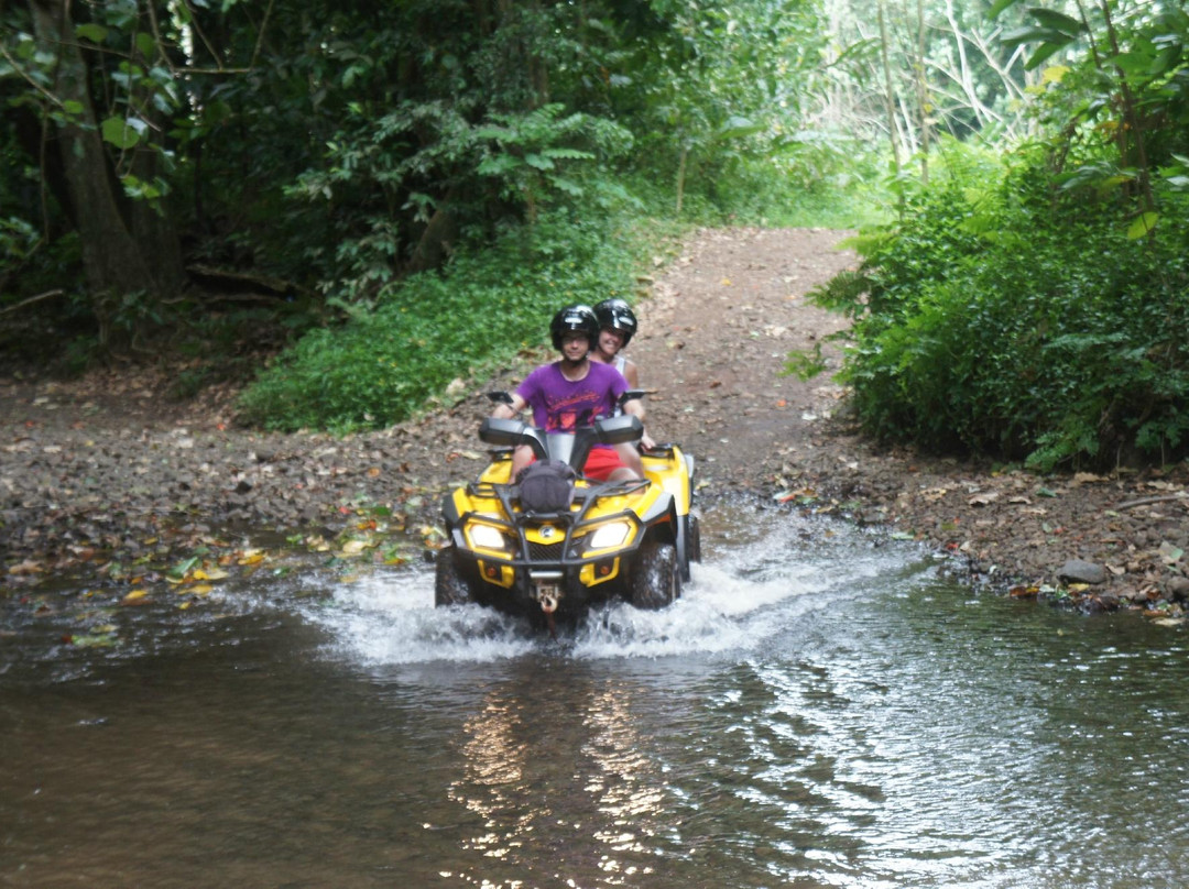 Dammon's ATV Tours-马哈雷帕必去景点