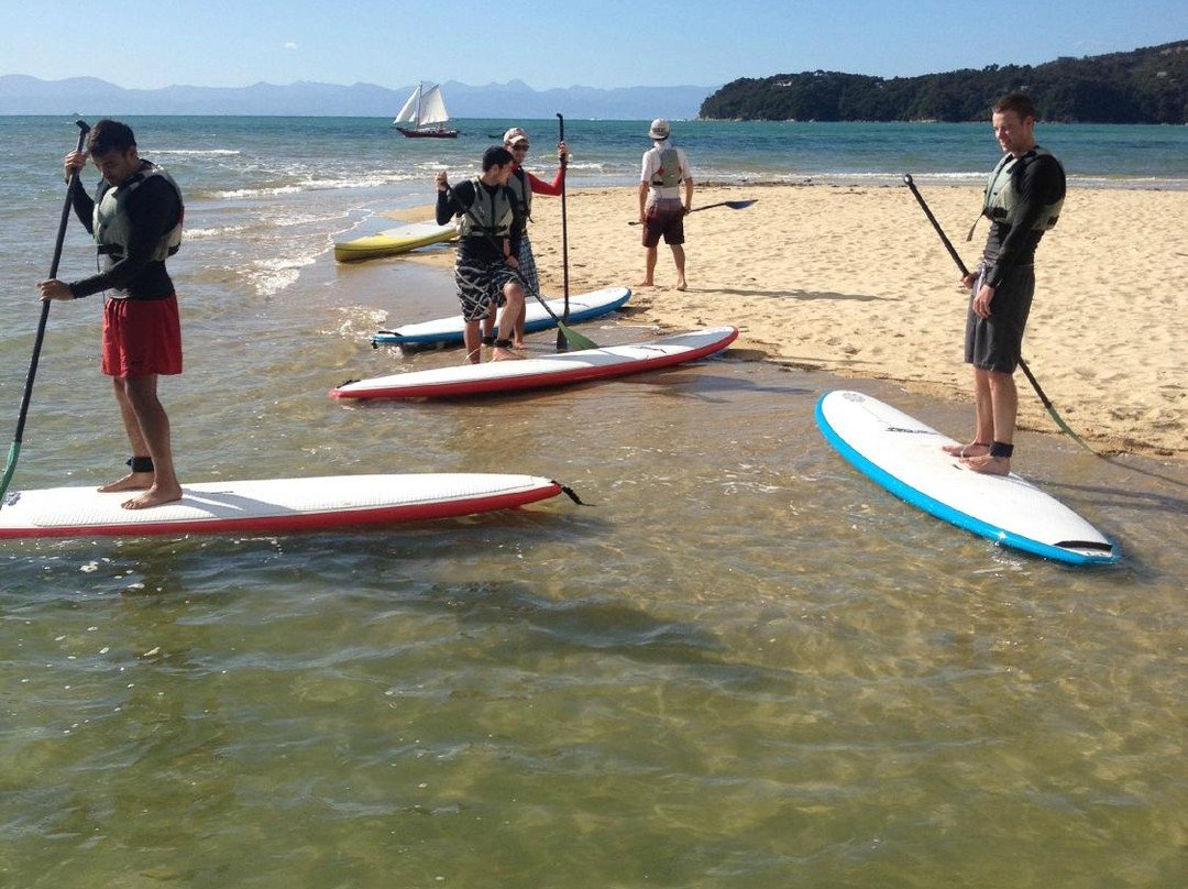 Abel Tasman Paddleboarding-凯特里特里必去景点