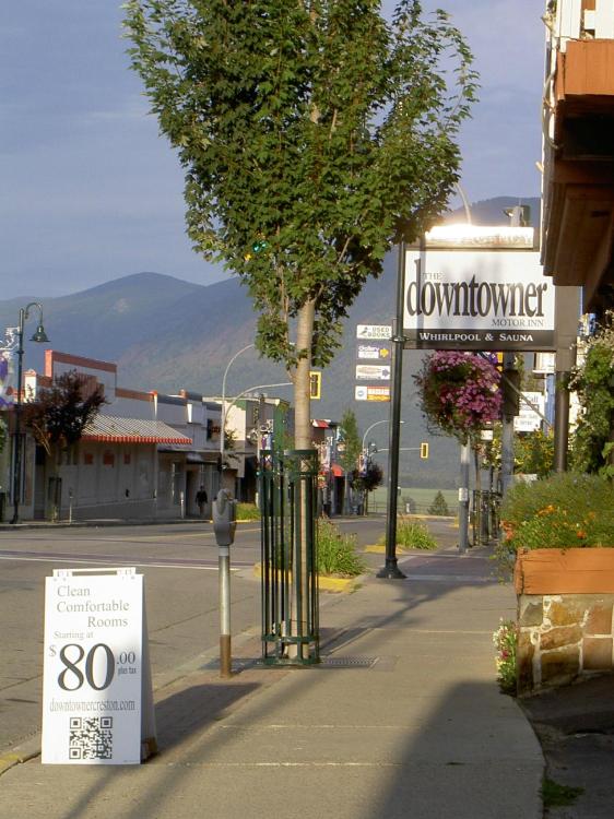 Downtowner Motor Inn-官方