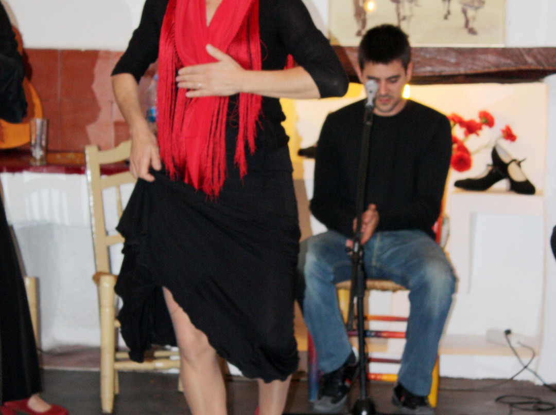 Escuela de Flamenco La Fuente景点图片