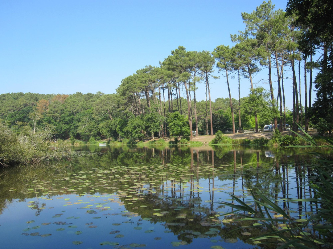 Cercle Nautique景点图片