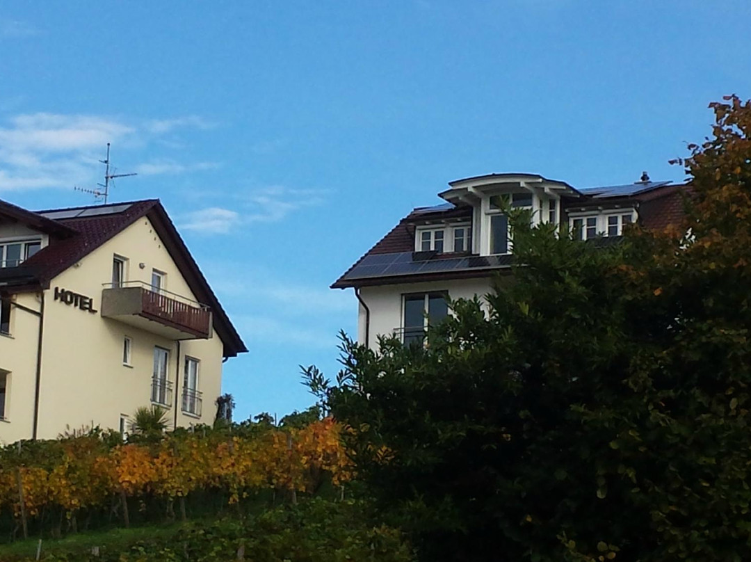 Hotel Mohren Hagnau主图