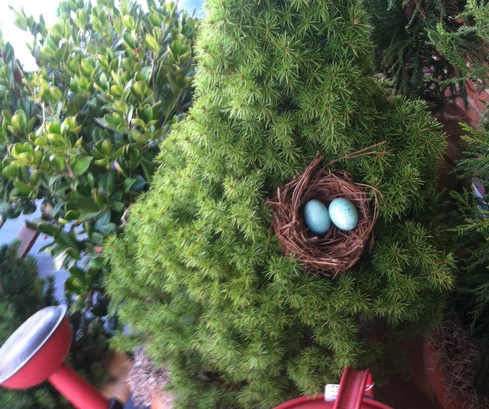 Nest - Antiques Art and Gifts景点图片