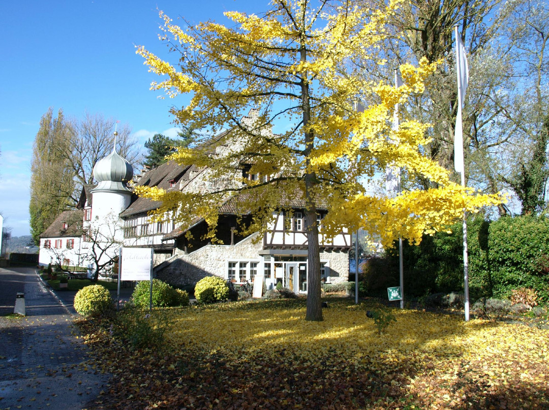 Horhausen酒店住宿-See & Park Hotel Feldbach