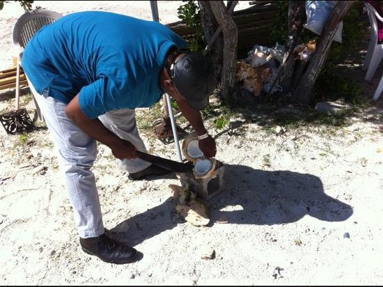 Majestic Taxis and Tours-普罗维登西亚莱斯必去景点