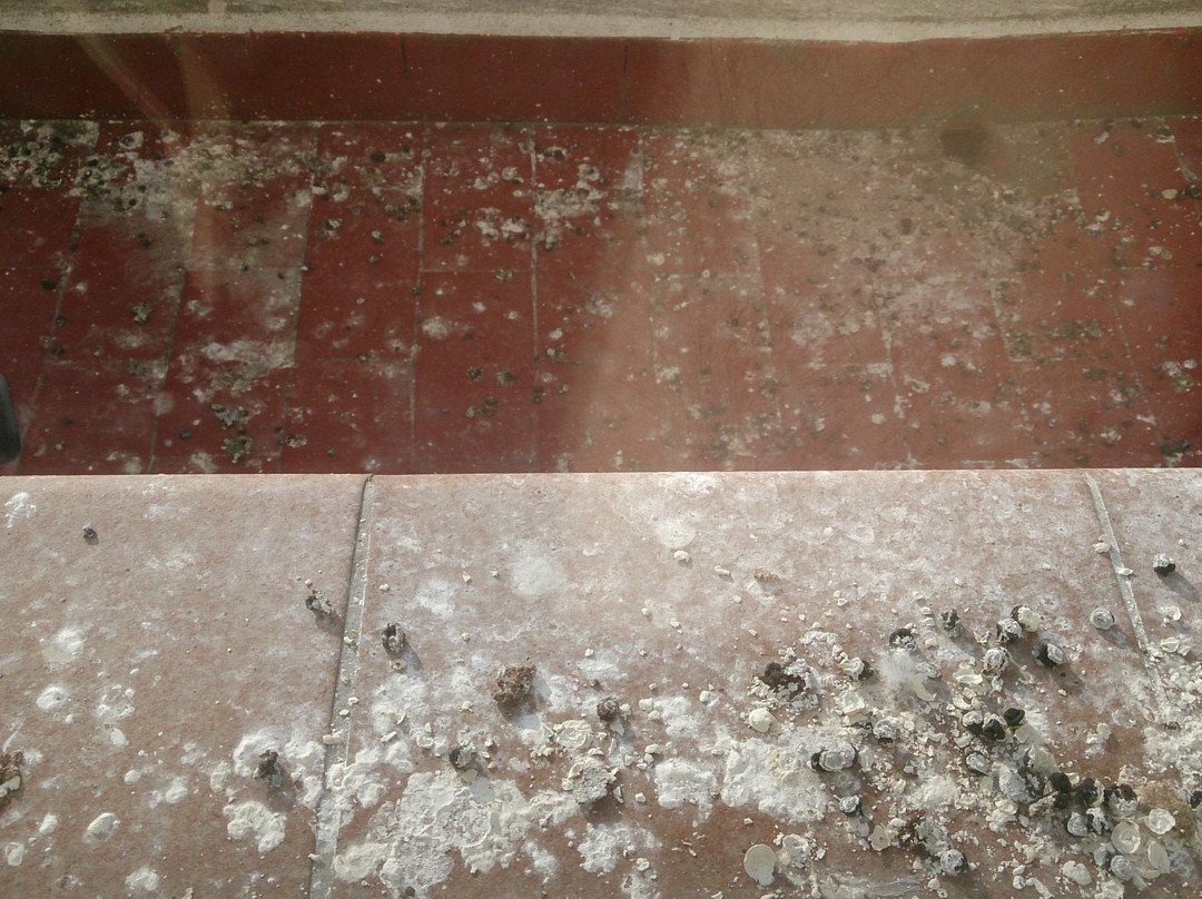 胡安卡洛斯一世酒店主图