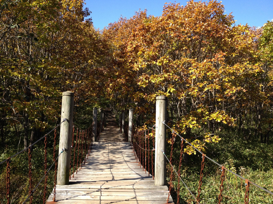 Kushiro Shitsugen Observatory Boardwalk-钏路市必去景点