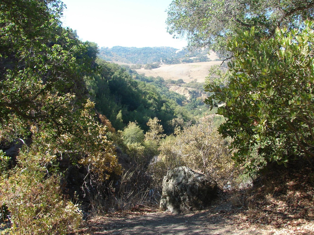 Sunol Regional Wilderness-Sunol必去景点