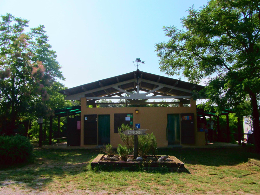 Camping Girona Can Toni Manescal