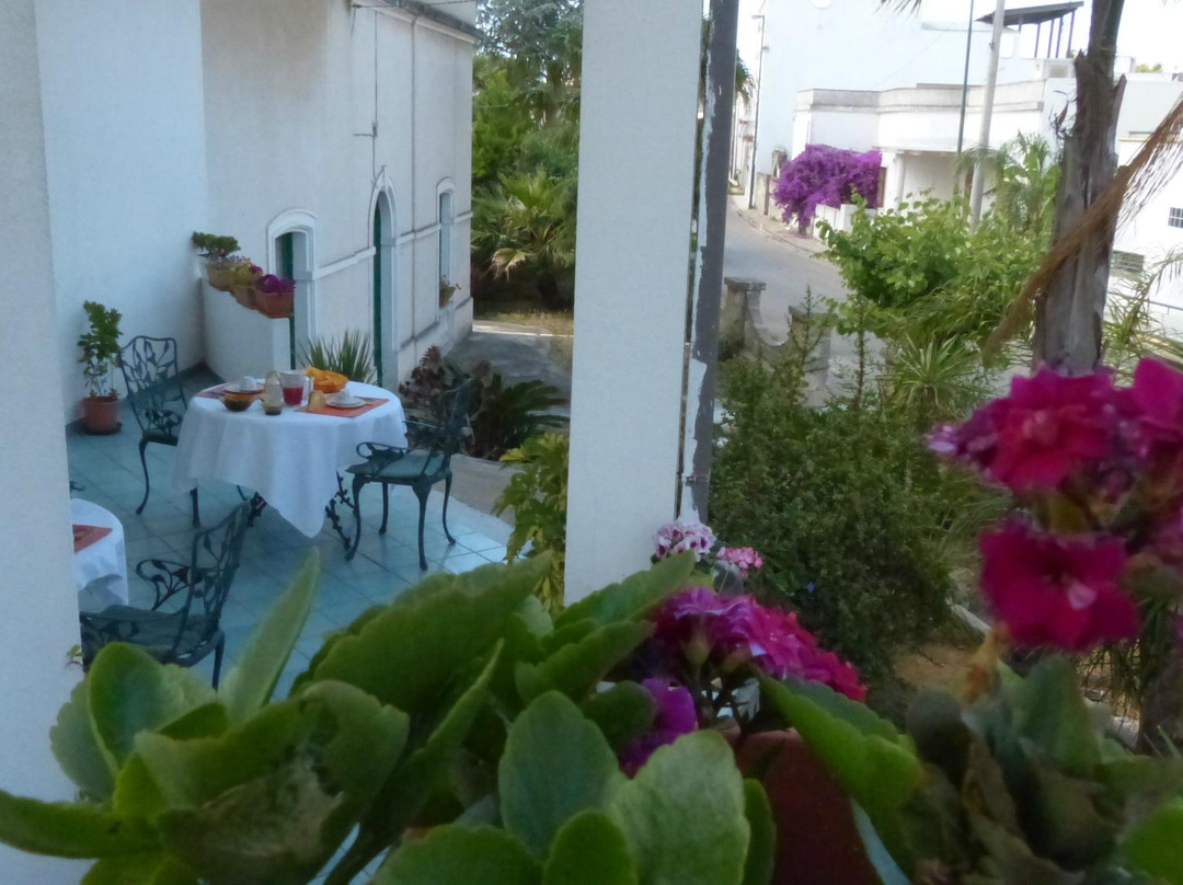 Felline酒店住宿-B&B Dolce Felline