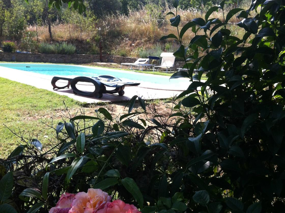 Migliano旅游攻略图片