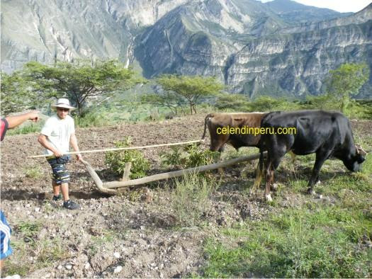 Orange Tours Day Tours-卡哈马卡必去景点