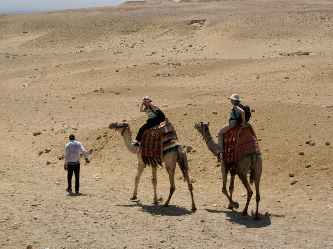 Nile Holiday- Day Tours-亚斯文必去景点