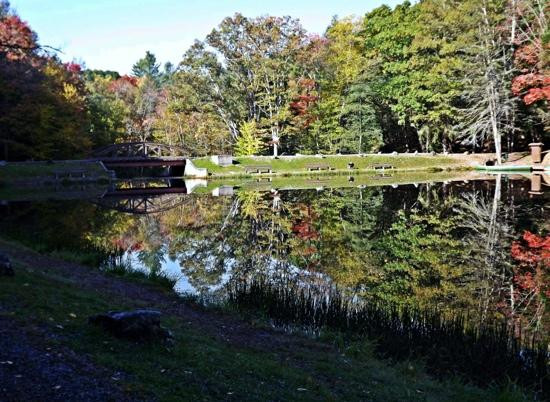 Seneca State Forest景点图片