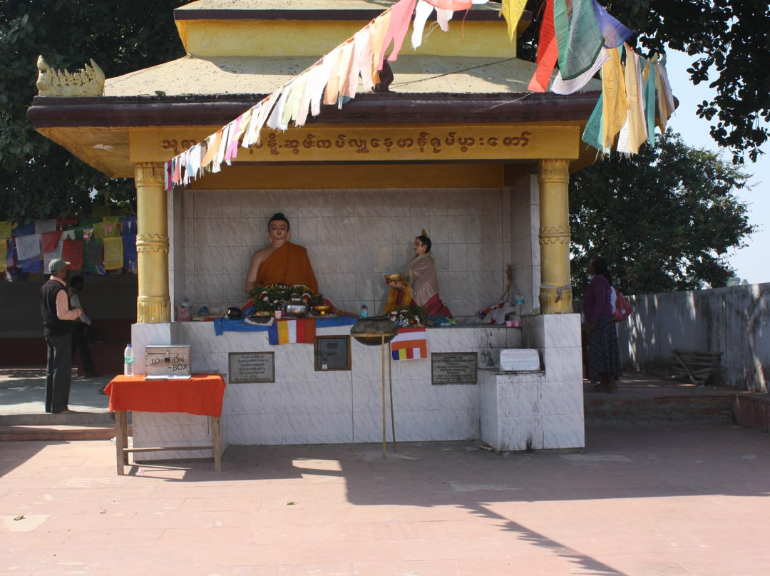 Ajapala Nigrodha Tree-菩提伽耶必去景点