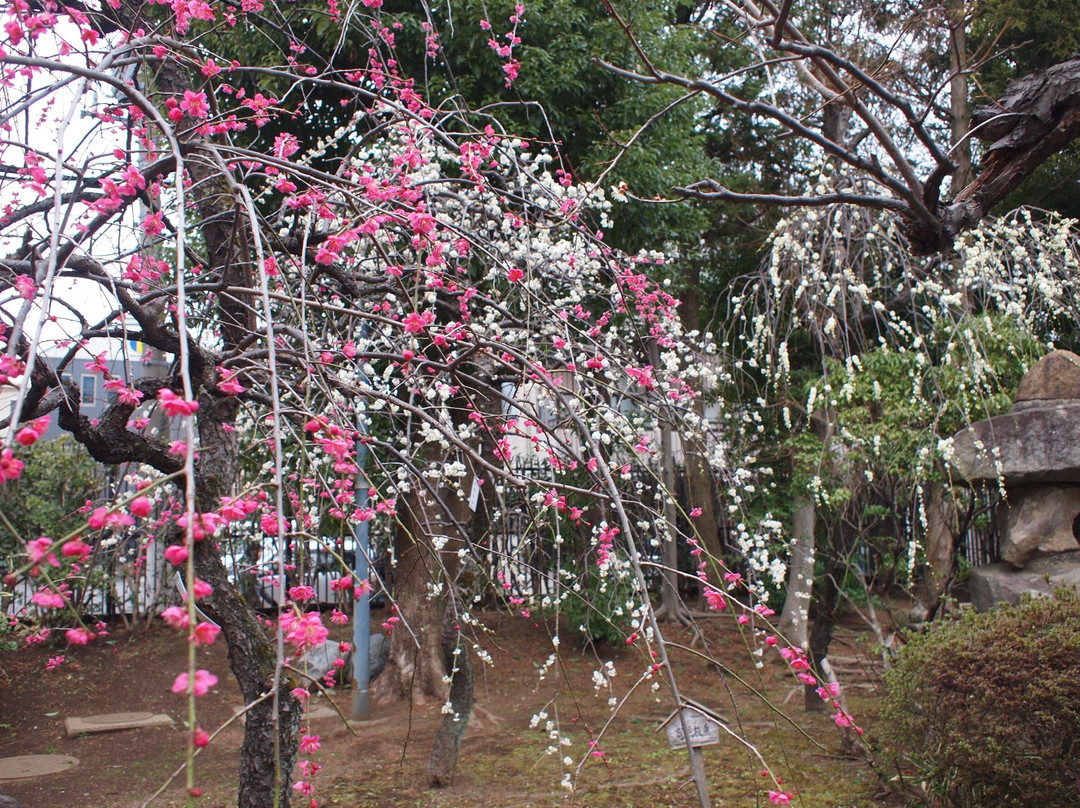 Ikegami Baien-大田区必去景点
