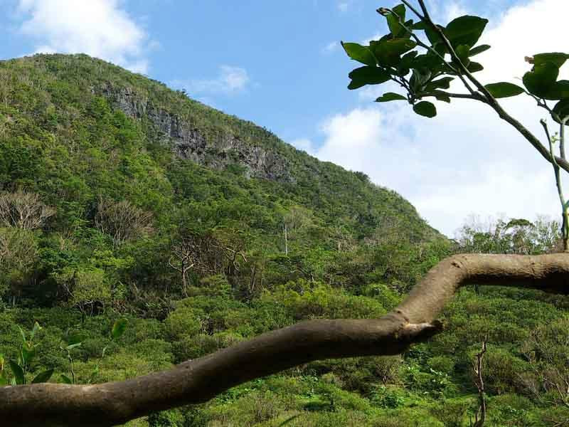 Mt. Katsuudake-名护市必去景点