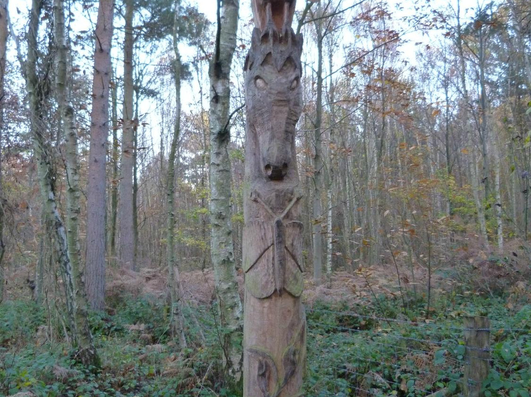 West Blean & Thornden Woods景点图片