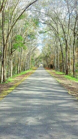 Jacksonville-Baldwin Rail Trail-杰克逊维尔必去景点