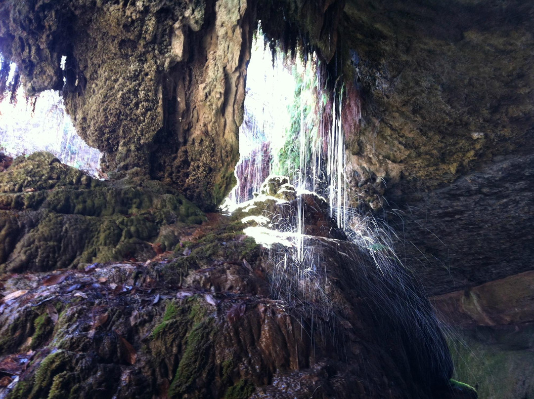 Westcave Outdoor Discovery Center-奥斯丁必去景点