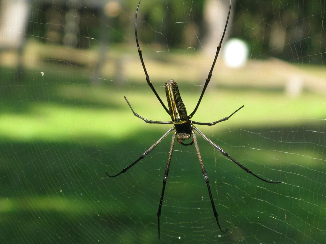 Clifftop Adventures Tour-清迈必去景点