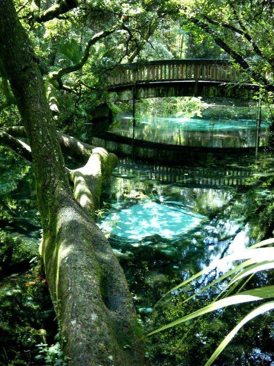 Juniper Springs Recreation Area-Silver Springs必去景点